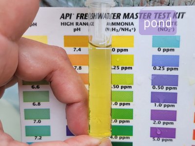 20210603_143152.jpg 20210603_143152.jpg