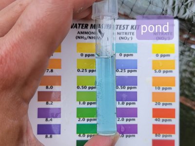 20210603_143229.jpg 20210603_143229.jpg