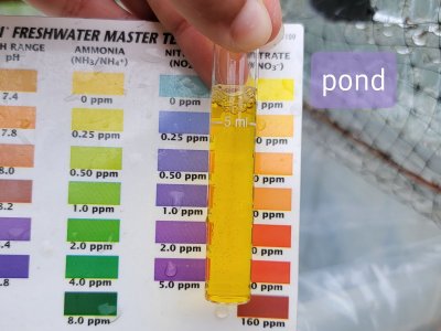 20210603_143259.jpg 20210603_143259.jpg