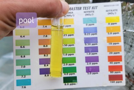 20210603_143316.jpg 20210603_143316.jpg