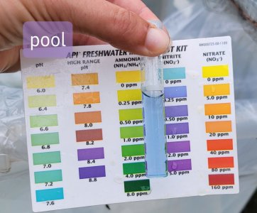 20210603_143328.jpg 20210603_143328.jpg