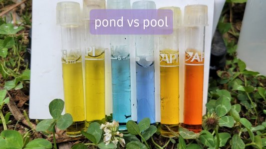 20210603_143417.jpg 20210603_143417.jpg