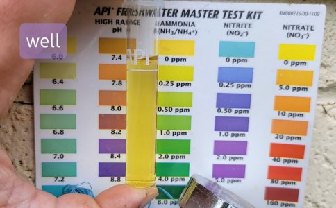 20210603_144420.jpg 20210603_144420.jpg