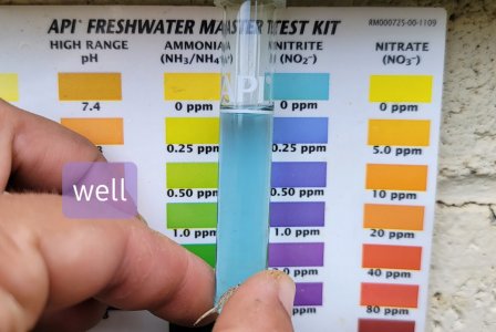 20210603_144455.jpg 20210603_144455.jpg