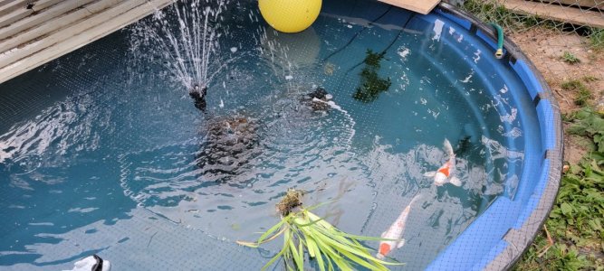 20210607_200515.jpg 20210607_200515.jpg