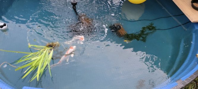 20210607_200517.jpg 20210607_200517.jpg