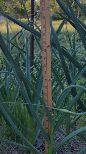 20210616_185854_001.jpg 20210616_185854_001.jpg