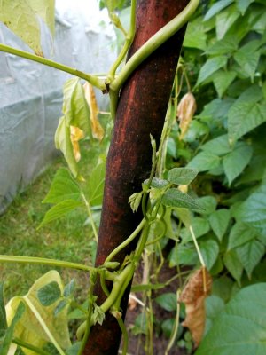 DSCN5619.jpg DSCN5619.jpg