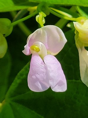 20210717_110547.jpg 20210717_110547.jpg