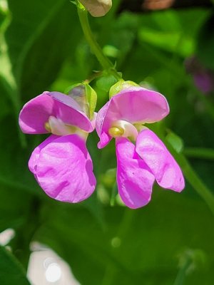 20210717_110151.jpg 20210717_110151.jpg