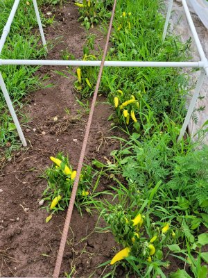 20210812_152811.jpg 20210812_152811.jpg