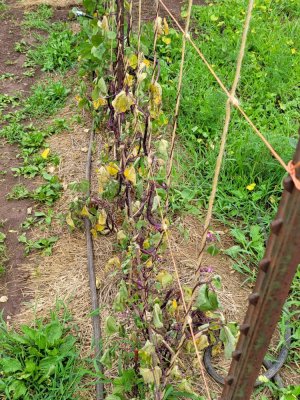 20210812_152818.jpg 20210812_152818.jpg