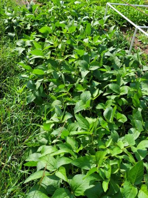 20210812_160018.jpg 20210812_160018.jpg