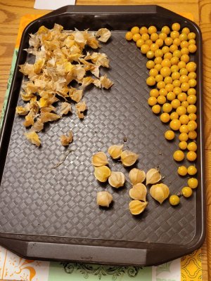 20210827_143725.jpg 20210827_143725.jpg