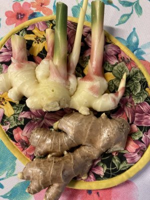 59D67184-195B-47B8-B528-A500624FF5F8.jpeg 59D67184-195B-47B8-B528-A500624FF5F8.jpeg