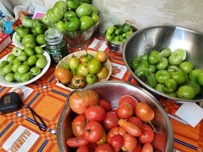 Last tomatoes to ripen, 11-08-21.jpg