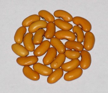 Mrociumre yellow.jpg