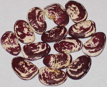 christmas - trimmed.jpg