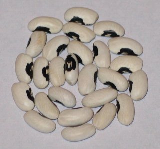 early stearns 2021 OT 3.jpg