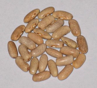 kishwaukee yellow OT 2.jpg