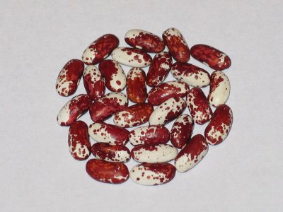 z-nippersink OT 1.JPG