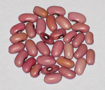 red eyed ranger OT 4.jpg