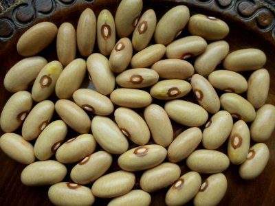 Arikara Yellow.jpg