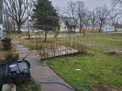 Okra, spent spears, winter, 2022.jpg Okra, spent spears, winter, 2022.jpg