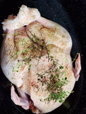 Duck with lemon thyme, jan 2022.jpg Duck with lemon thyme, jan 2022.jpg