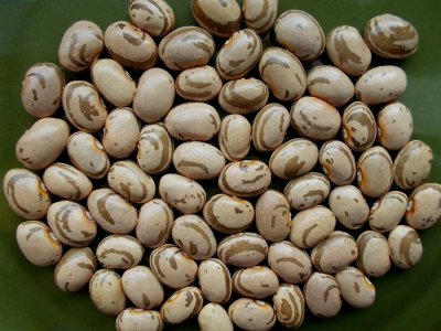 Jack In The Beanstalk.jpg