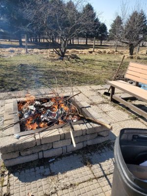 Firepit burning, 03-09-22, #2.jpg