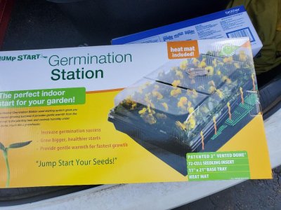 Germination station, 03-15-21.jpg