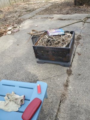 DDs Firepit burning, 03-20-22, #1.jpg