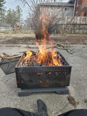 DDs Firepit burning, 03-20-22, #2.jpg