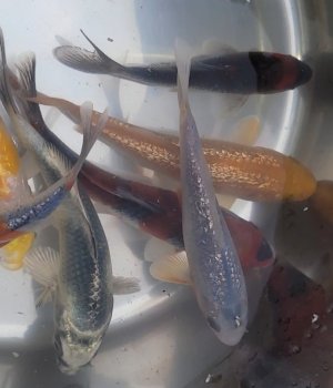 Screenshot_20220409-200649_Video Player.jpg