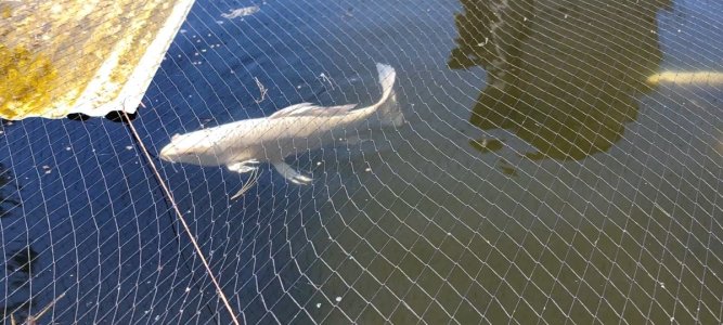 Screenshot_20220417-130400_Video Player.jpg