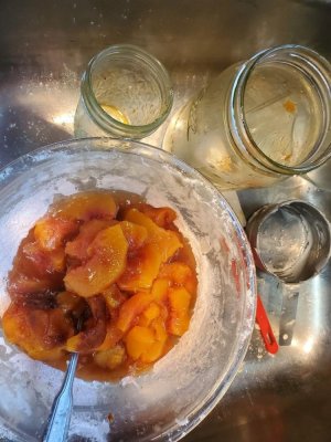 Peaches, last of the 2021, frozen, then refridgerated, May, 2021, #2.jpg