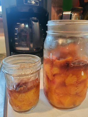 Peaches, last of the 2021, frozen, then refridgerated, May, 2021.jpg