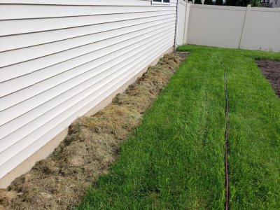 Backyard Flowerbed 2022.jpg