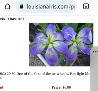 Screenshot_20220622-131039_Chrome.jpg Screenshot_20220622-131039_Chrome.jpg