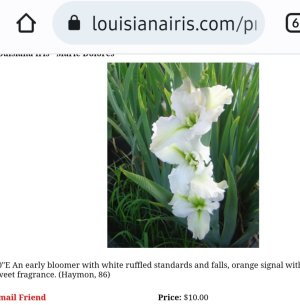 Screenshot_20220622-131046_Chrome.jpg Screenshot_20220622-131046_Chrome.jpg