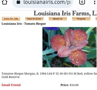 Screenshot_20220622-131055_Chrome.jpg Screenshot_20220622-131055_Chrome.jpg