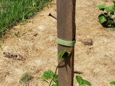 Pole Runner Taped .jpg Pole Runner Taped .jpg