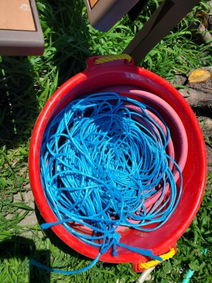 Baling Twine coiled up from hay, June, 2022 (2).jpg