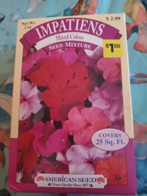 Impatiens box of seeds, planted, 08-02-22.jpg