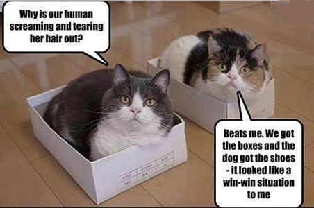 zboxes.png zboxes.png