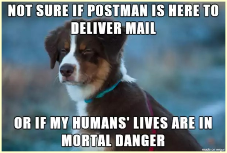 zpostman.png