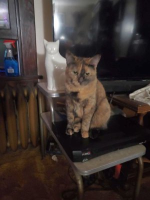 Linx, 10-07-22, #2.jpg