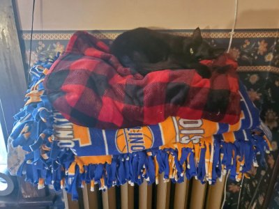 Inky on 4 blankets on top of radiator, 10-13-22, #2.jpg