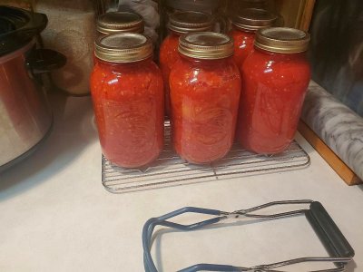 Tomatoes canned, 10-25-22.jpg